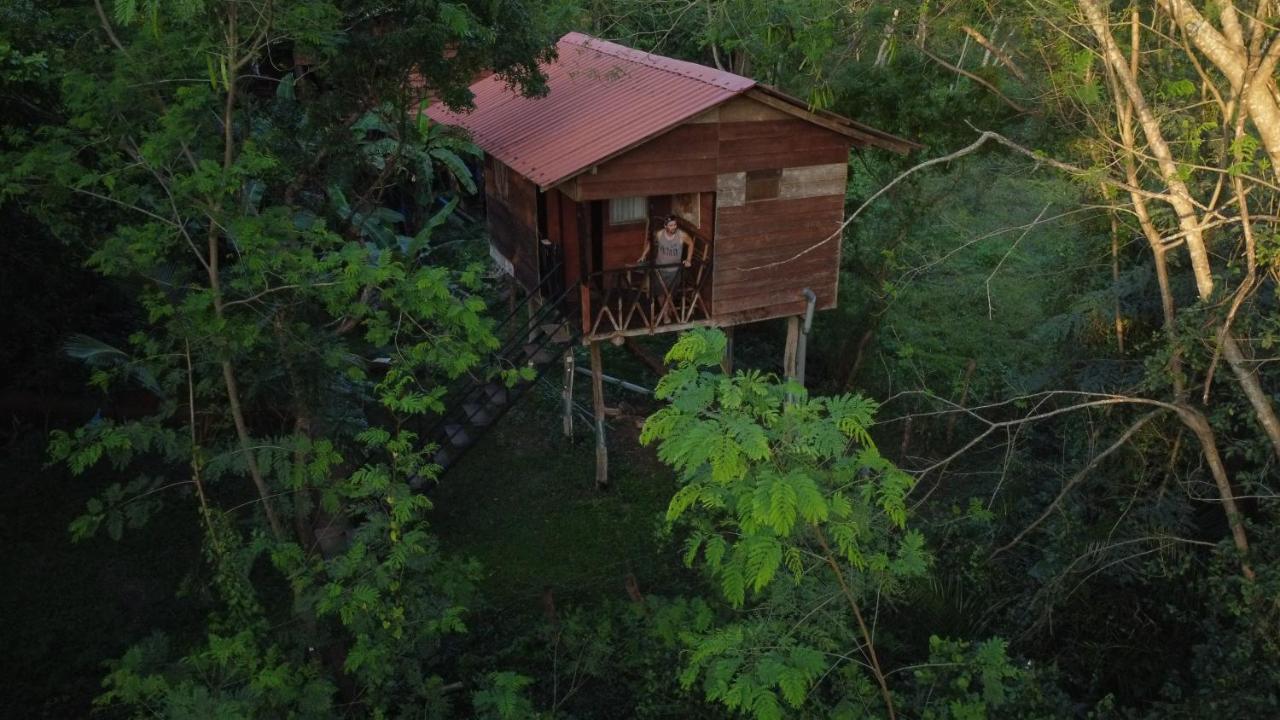 Tree House Hostel Sigiriya Exterior foto