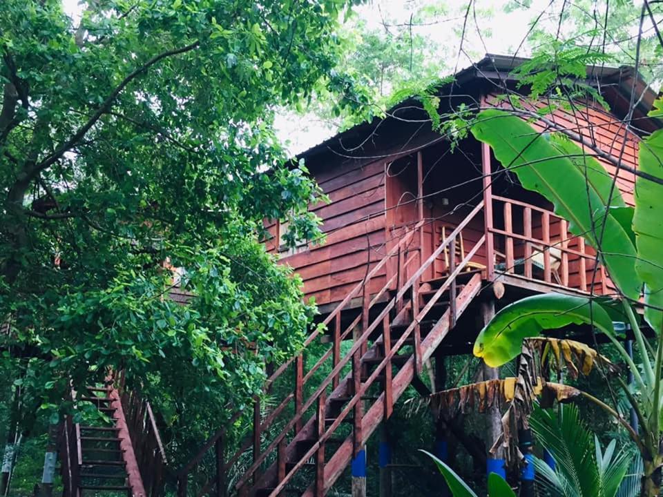 Tree House Hostel Sigiriya Exterior foto