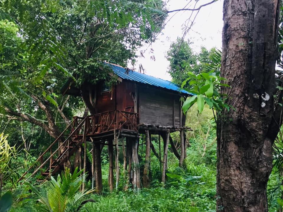 Tree House Hostel Sigiriya Exterior foto