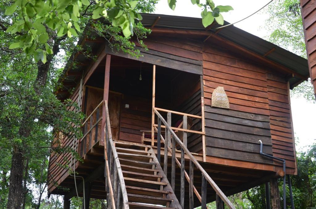 Tree House Hostel Sigiriya Exterior foto
